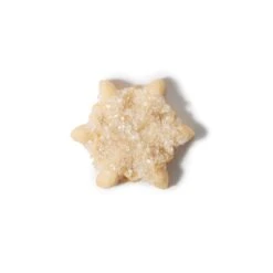 Good Grips Cookie Press Disk Set | OXO 9 Good Grips Cookie Press Disk Set | OXO -OXO Kitchen Essentials 11177800 6 snow flake decorated