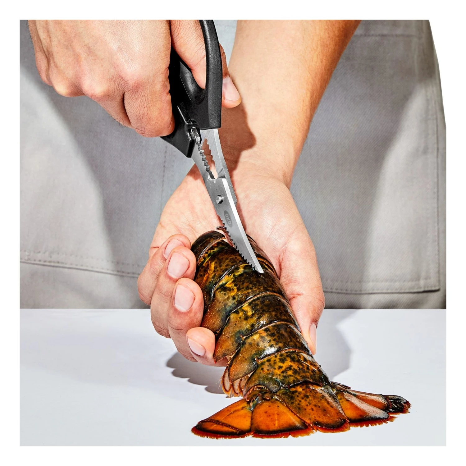 Seafood Scissors Seafood Scissors -OXO Kitchen Essentials gg 11350600 seafoodscissors pdp 01